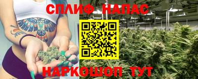 стафф Ачхой-Мартан