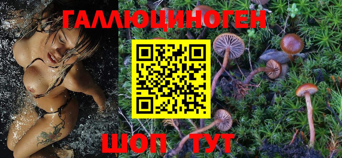 Галлюциногенные грибы GOLDEN TEACHER  Галлюциногенные грибы Psilocybine cubensis  Борзя  Вход с VPN 